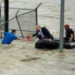 Trump hurricane