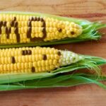 Gmo corn