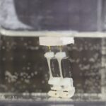 Robotic