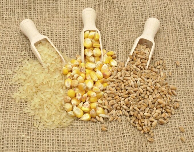 Corn report