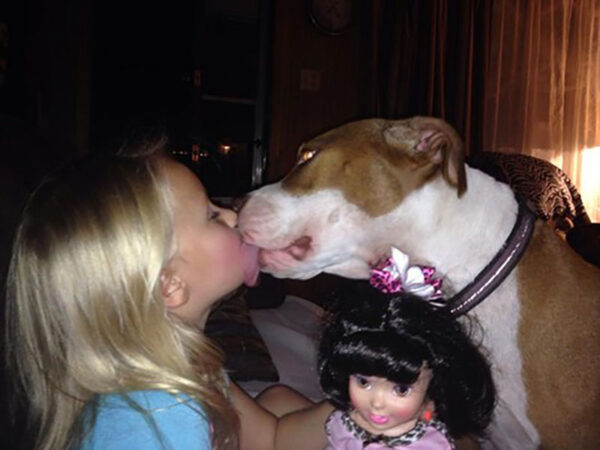 Police shoots family's dog