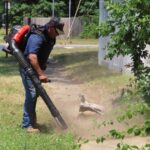 Gasoline leaf blower
