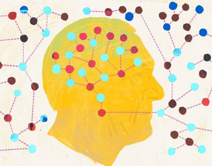 Well bilingual brain
