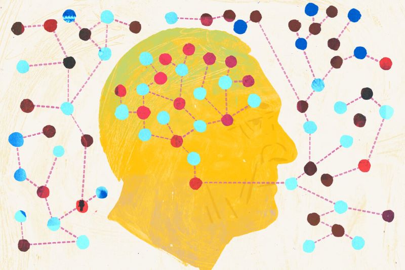 Well bilingual brain