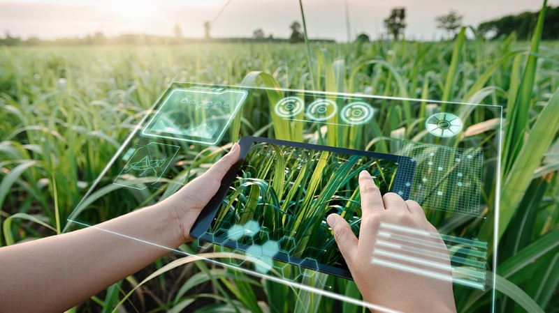 AI technology in agriculture