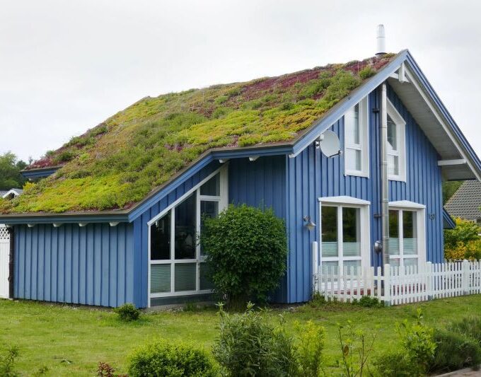Green Roof