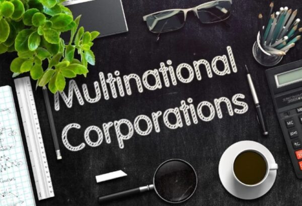 Multinational enterprise 2