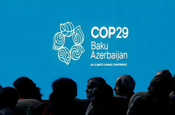 COP29
