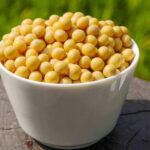 Soya bean