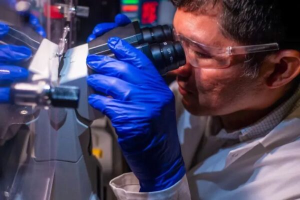 Lifechanging new cancer therapy kills 99% of cancer cells