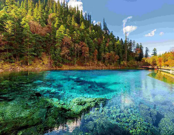 nature