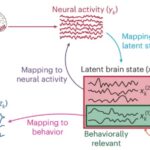New AI algorithm can decode human behavior