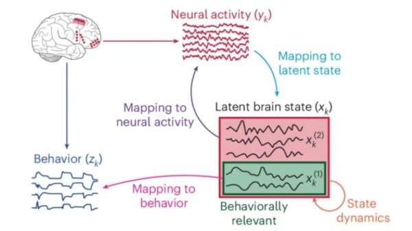 New AI algorithm can decode human behavior