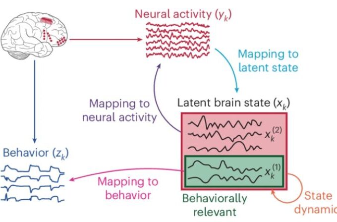 New AI algorithm can decode human behavior