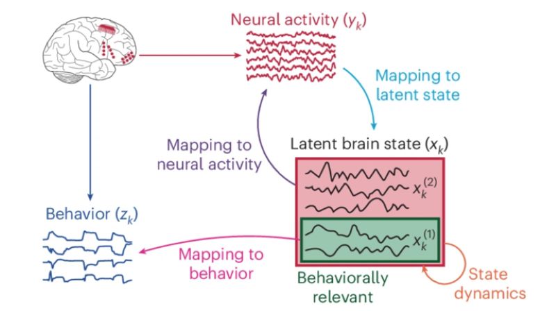 New AI algorithm can decode human behavior