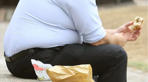 Obesity chart