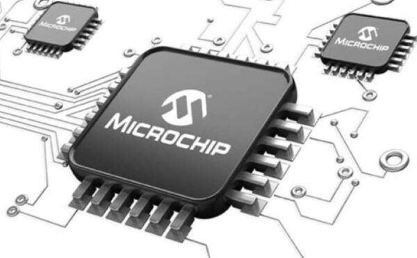 Microchip 1