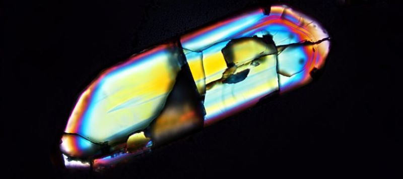 A zircon crystal under the microscope