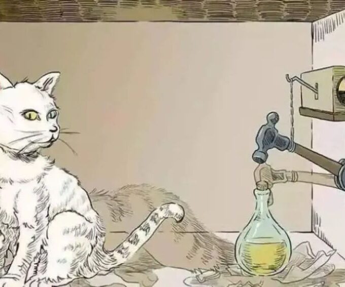 Schrödinger's famous thought experiment involving a cat in a sealed box with a potentially lethal poison