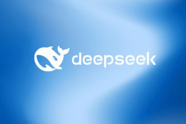 DeepSeek 2