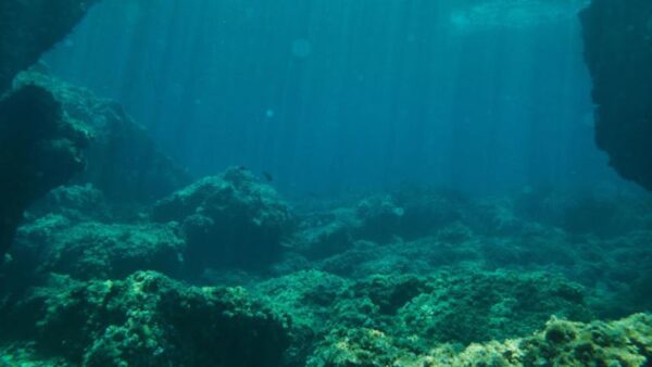 Scientists discover a strange signal from 10 million years ago on ocean bed