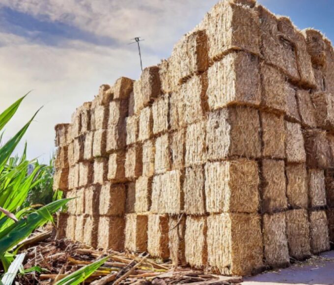 Sugarcane concrete 3