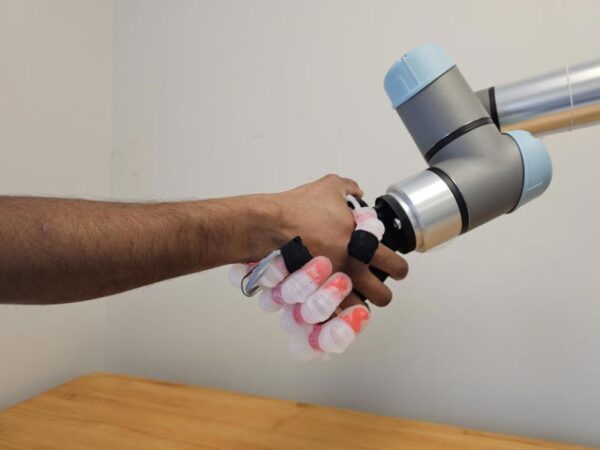 Bionic hand