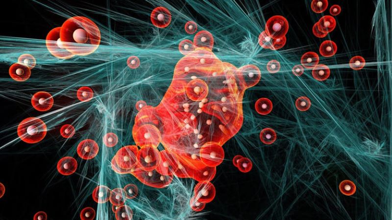 Establishing a general theory of metal-support interaction: AI-driven advances in catalysis