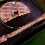 Ljubljana Marshes Wheel with axle (oldest wooden wheel yet discovered.