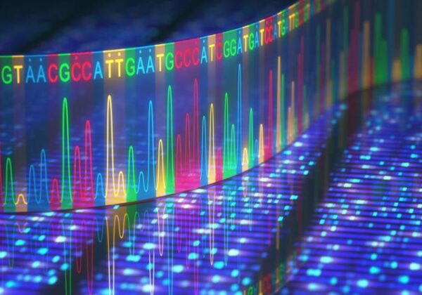 Scientists develop largest ever biological AI model that ‘thinks in nucleotides