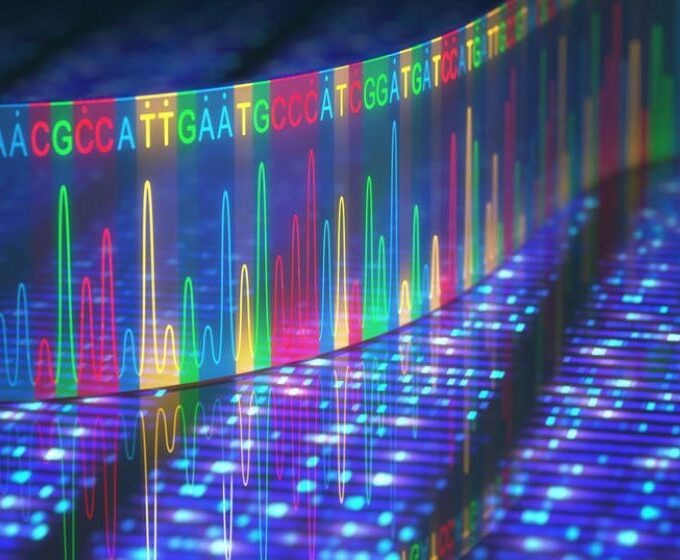 Scientists develop largest ever biological AI model that ‘thinks in nucleotides