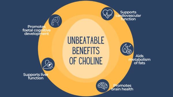 Choline