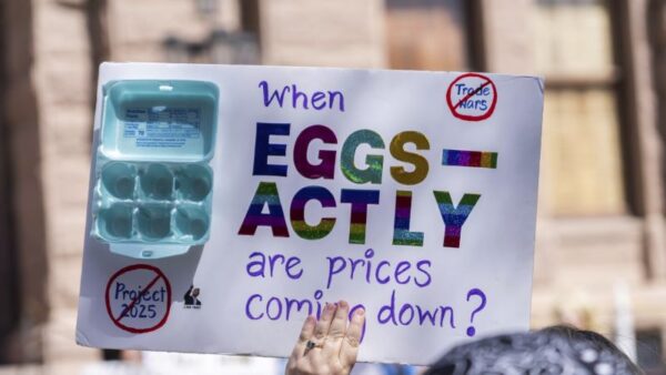 Egg price