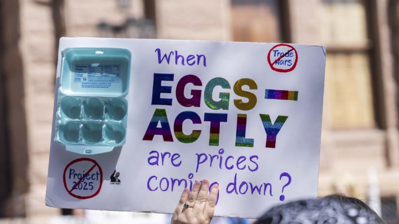 Egg price