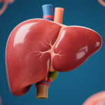 Functional human liver