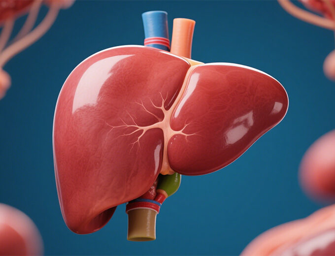 Functional human liver