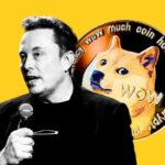 Musk and dogecoin