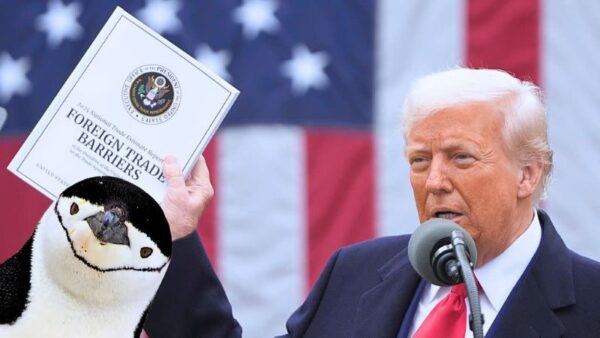 Penguin taxes