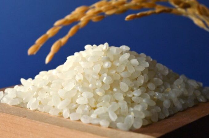 Rice