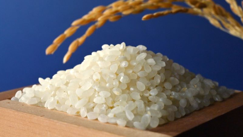 Rice