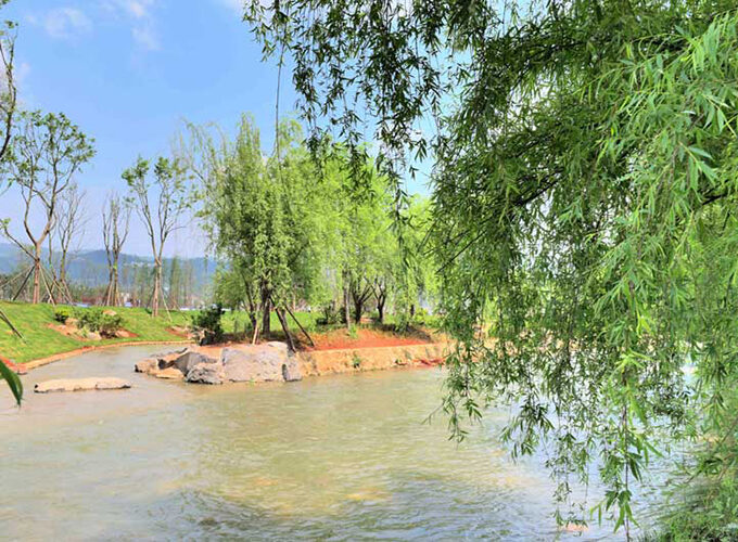 Wetland agriculture
