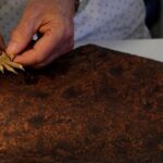 Fossilized paw prints