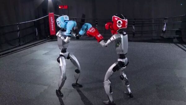Humanoid robots debut