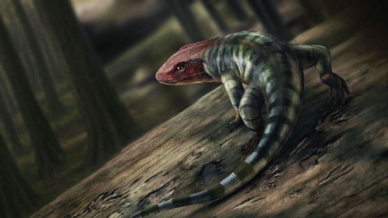 Reptiles