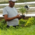 China Ukraine modern agricultural science and technology demonstration park