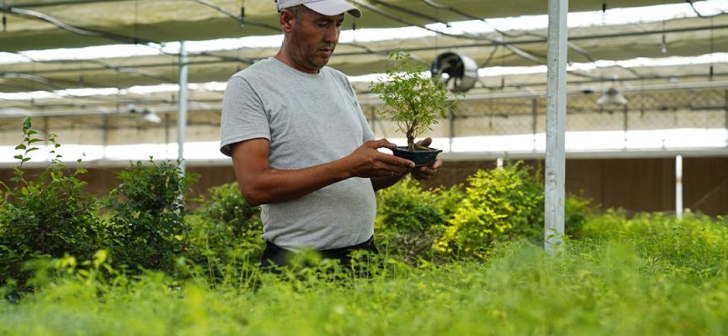 China Ukraine modern agricultural science and technology demonstration park