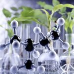 Chemical structure of a pesticide