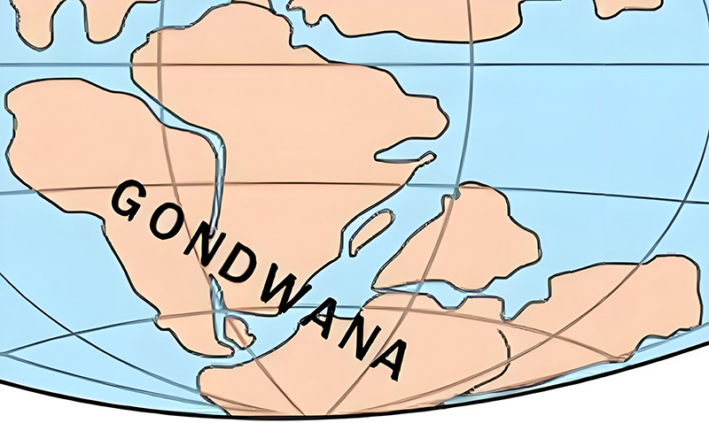 Gondwana