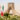 Iran's Freedom Monument
