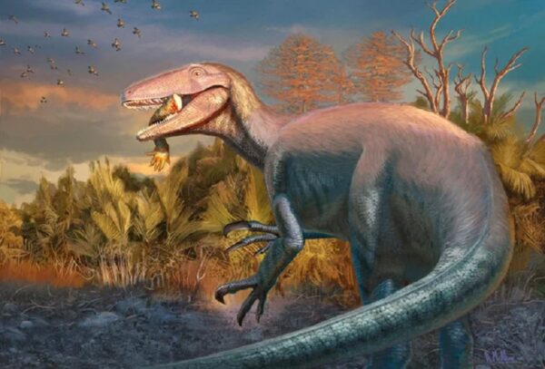 Scientists Discover New Species of predatory dinosaur from south america